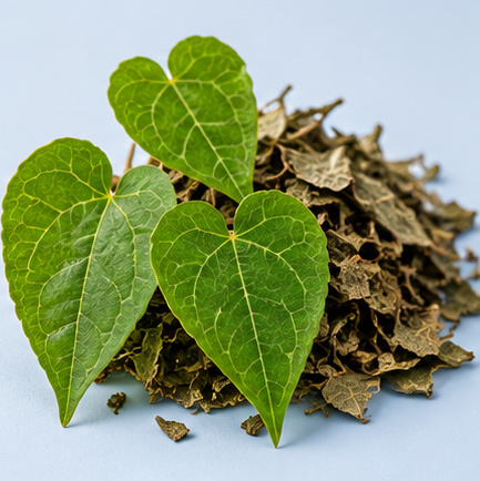Studio ingredient image: Epimedium